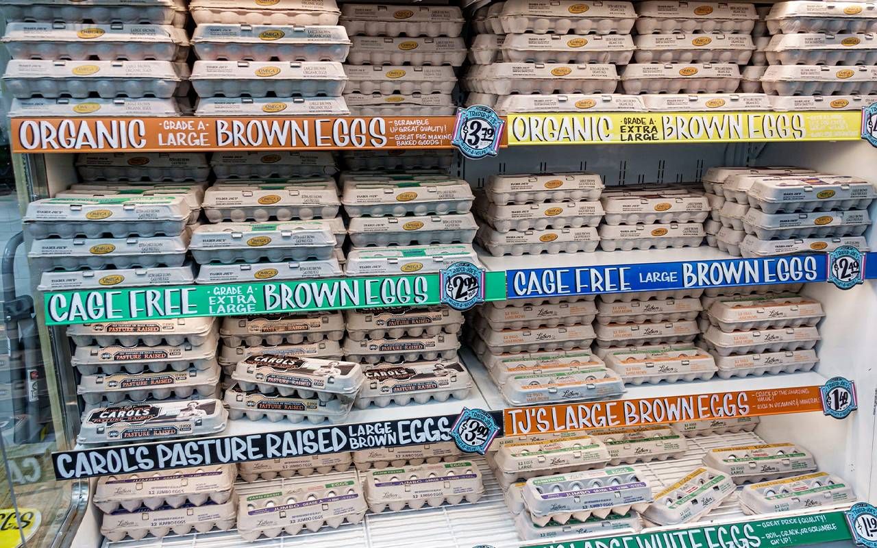 Several varieties of eggs on a supermarket shelf. Next Avenue