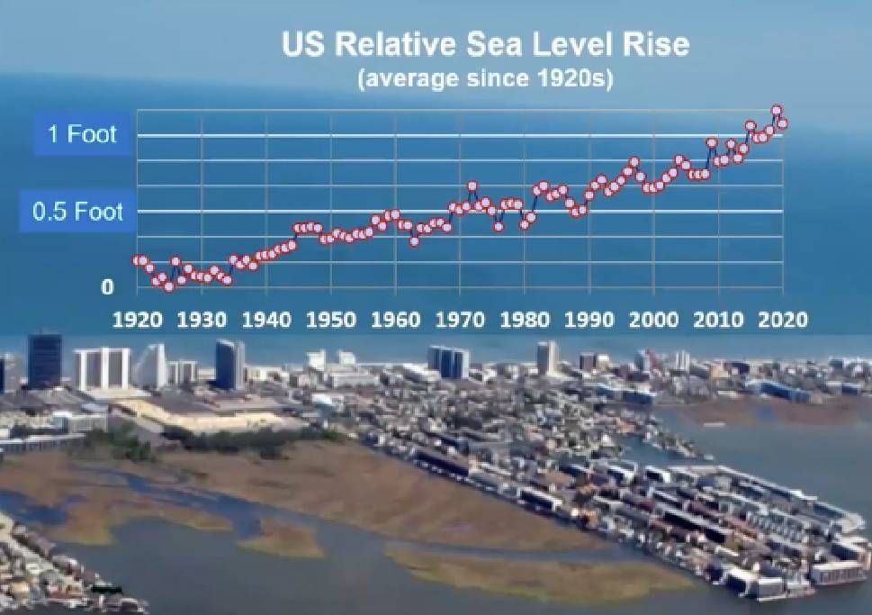 A graphic showing steady rising sea levels from 1920 to 2020. Next Avenue