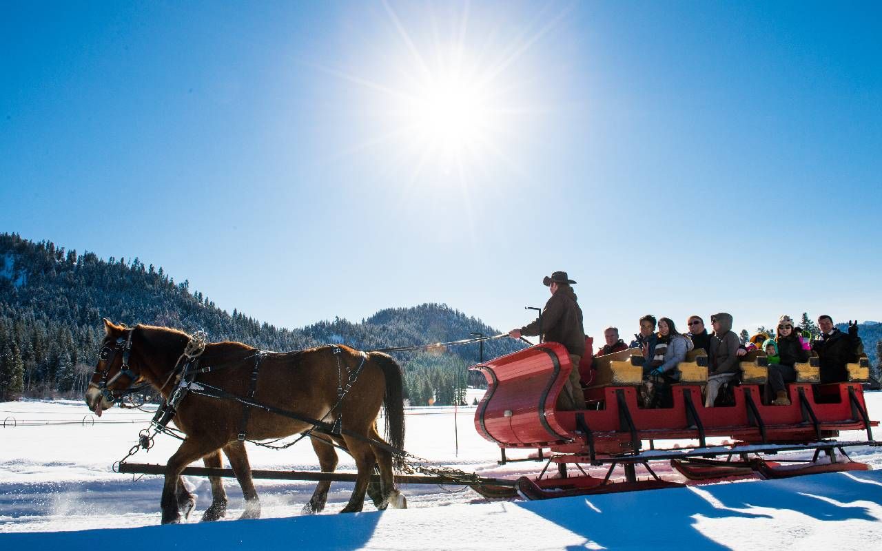 A sleigh being pulled by a horse in Leavenworth, Washington. Next Avenue