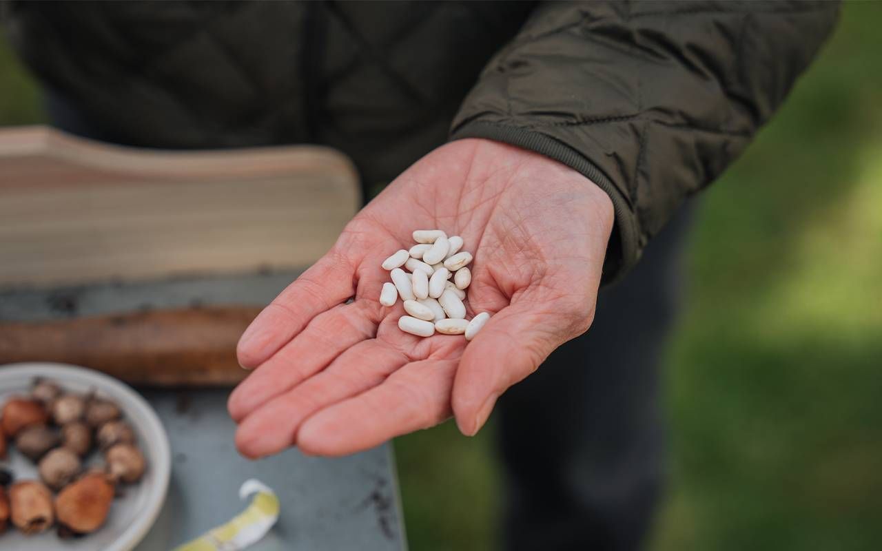 A man holding dired seeds in his hand, showing what the longevity diet consists of. Next Avenue