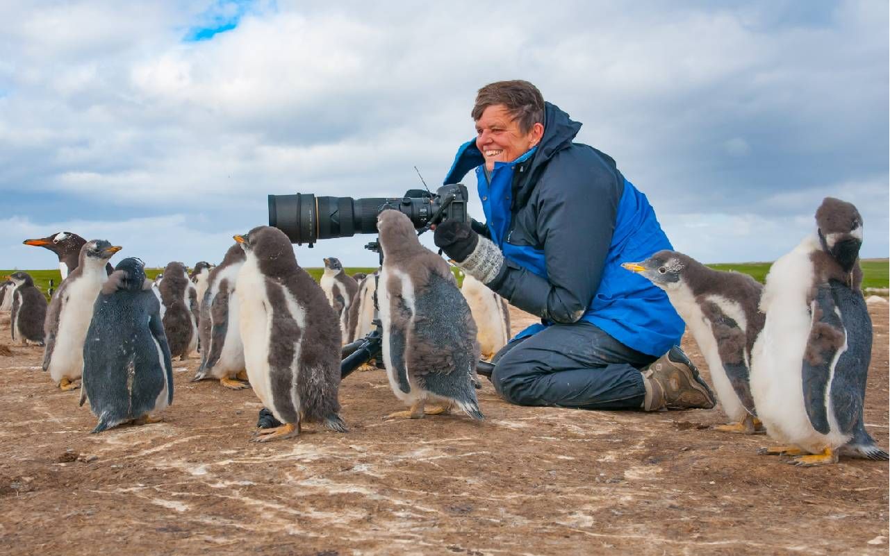A photographer with penguins. Next Avenue, Seeing It All: Women Photographers Expose Our Planet