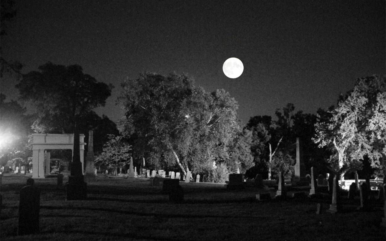 A black and white photo of a paranormal looking cemetery. Next Avenue