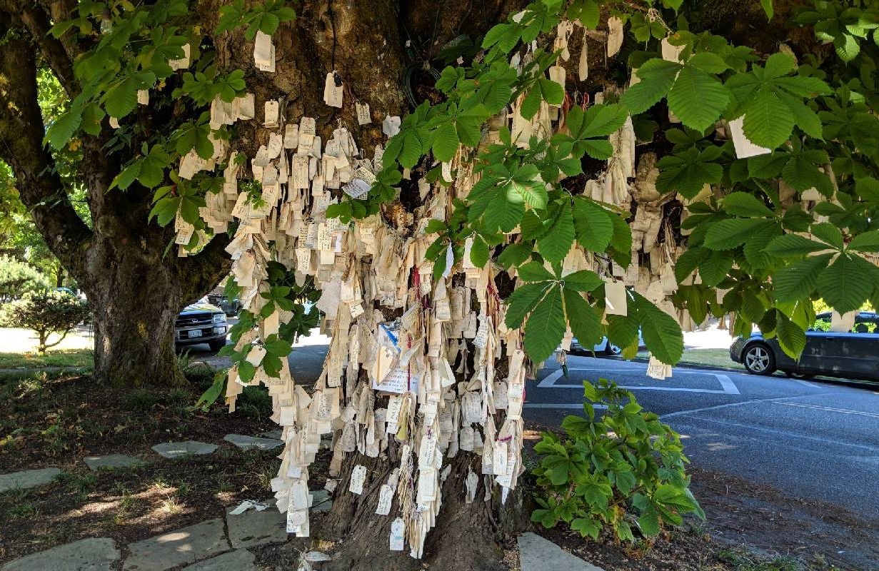 A tree with many small paper tags hanging on it. Next Avenue, wishing tree
