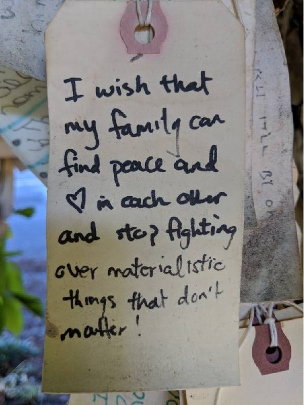 A paper tag with a person's wish written on it. Next Avenue, wishing tree
