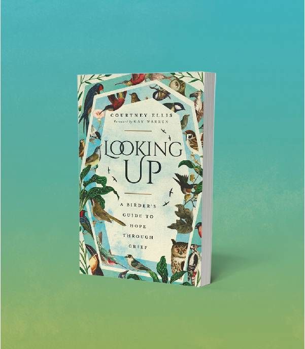 Book cover of "Looking Up." Next Avenue, Courtney Ellis, Looking Up