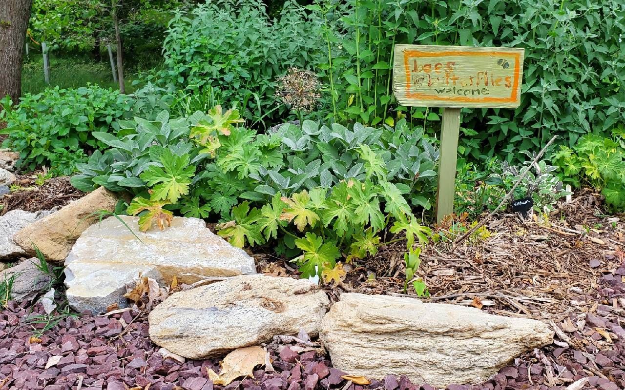 A green butterfly sanctuary with a handmade sign. Next Avenue