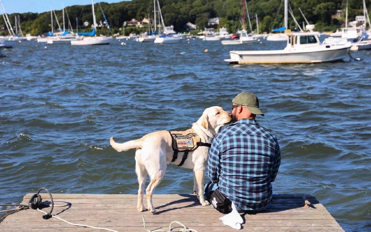 A vet with a service dog outside. Next Avenue