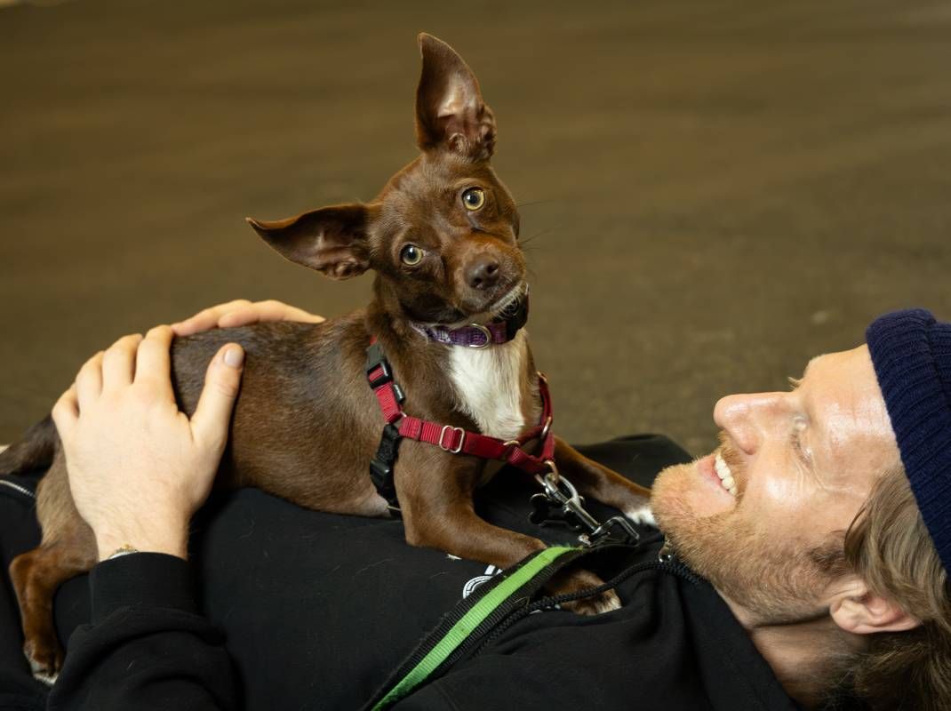 A vet with a service dog outside. Next Avenue