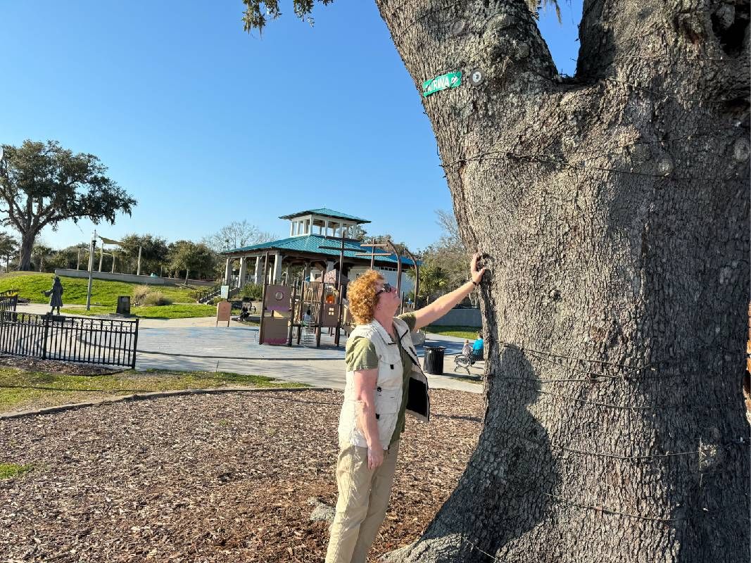 A person touching a tree with a high water mark above her head. Next Avenue, climate change, entrepreneurs