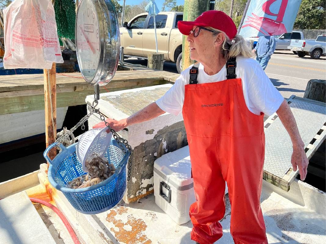 A woman wearing waders weighing fresh shrimp. Next Avenue, climate change, entrepreneurs