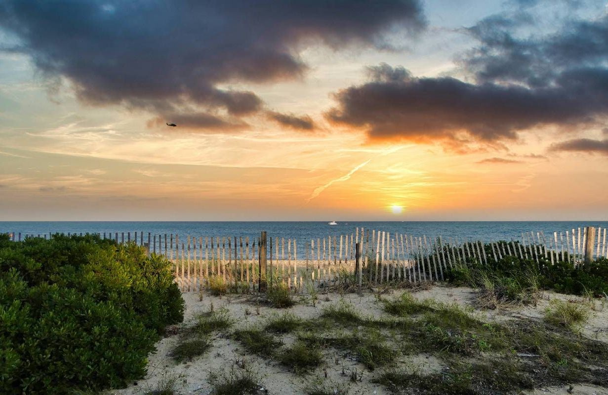 A landscape view of the beach on Cape Cod. Next Avenue, regretting my move, moving