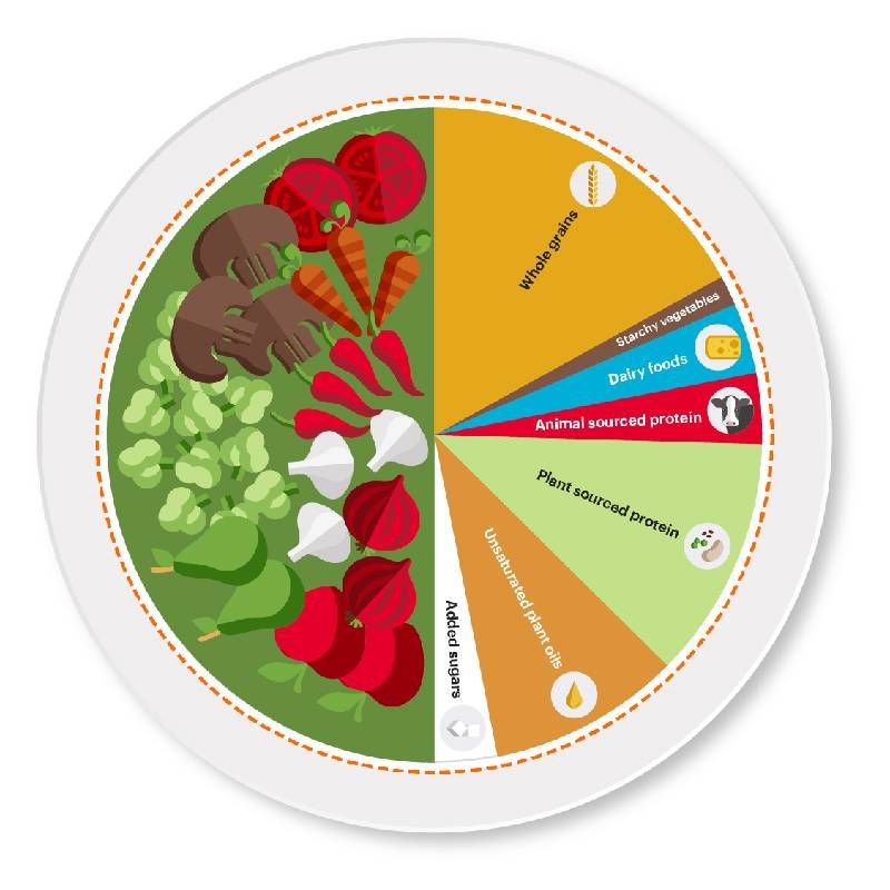 A pie chart showing the amounts and types of foods included in the planetary health diet. Next Avenue, environmentalism, health, food