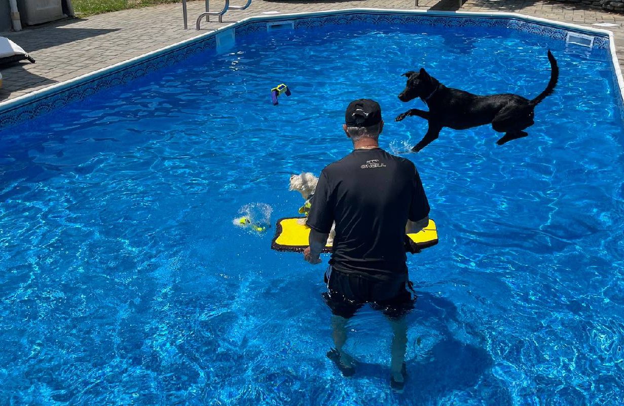 A man swimming in a pool with two dogs. Next Avenue, dog yoga, workout