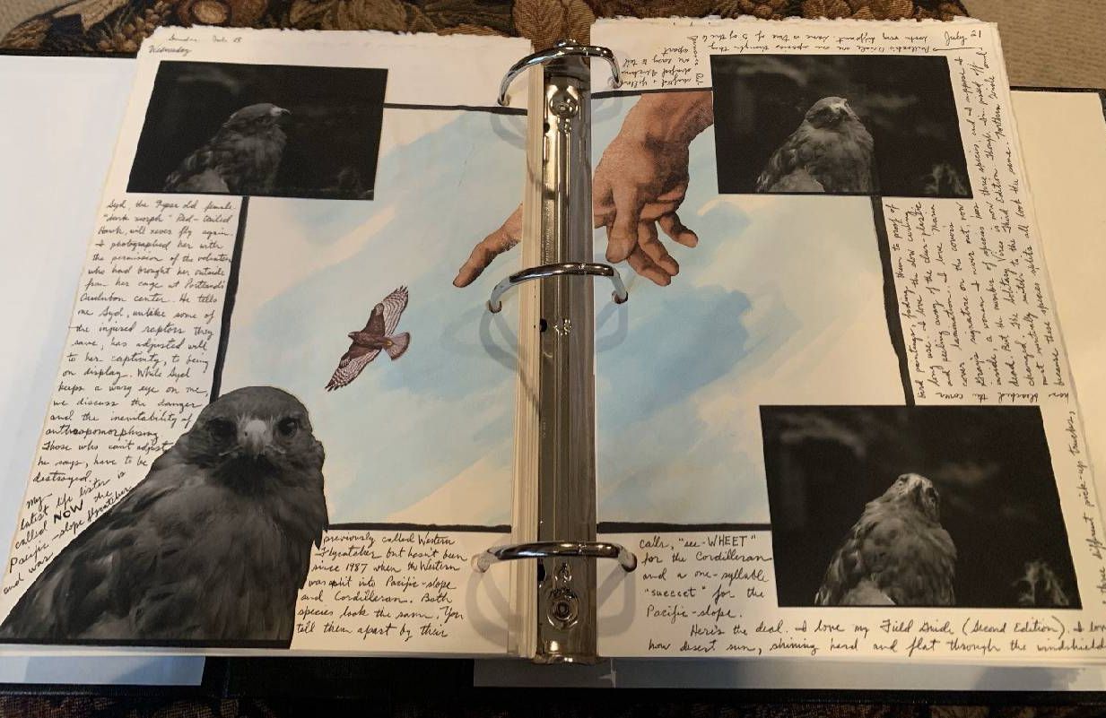 An excerpt from a journal entry. Next Avenue, dementia, journaling