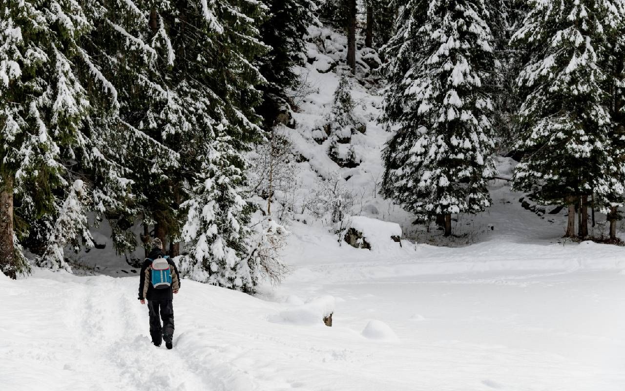 A person hiking in a forest during winter. Next Avenue