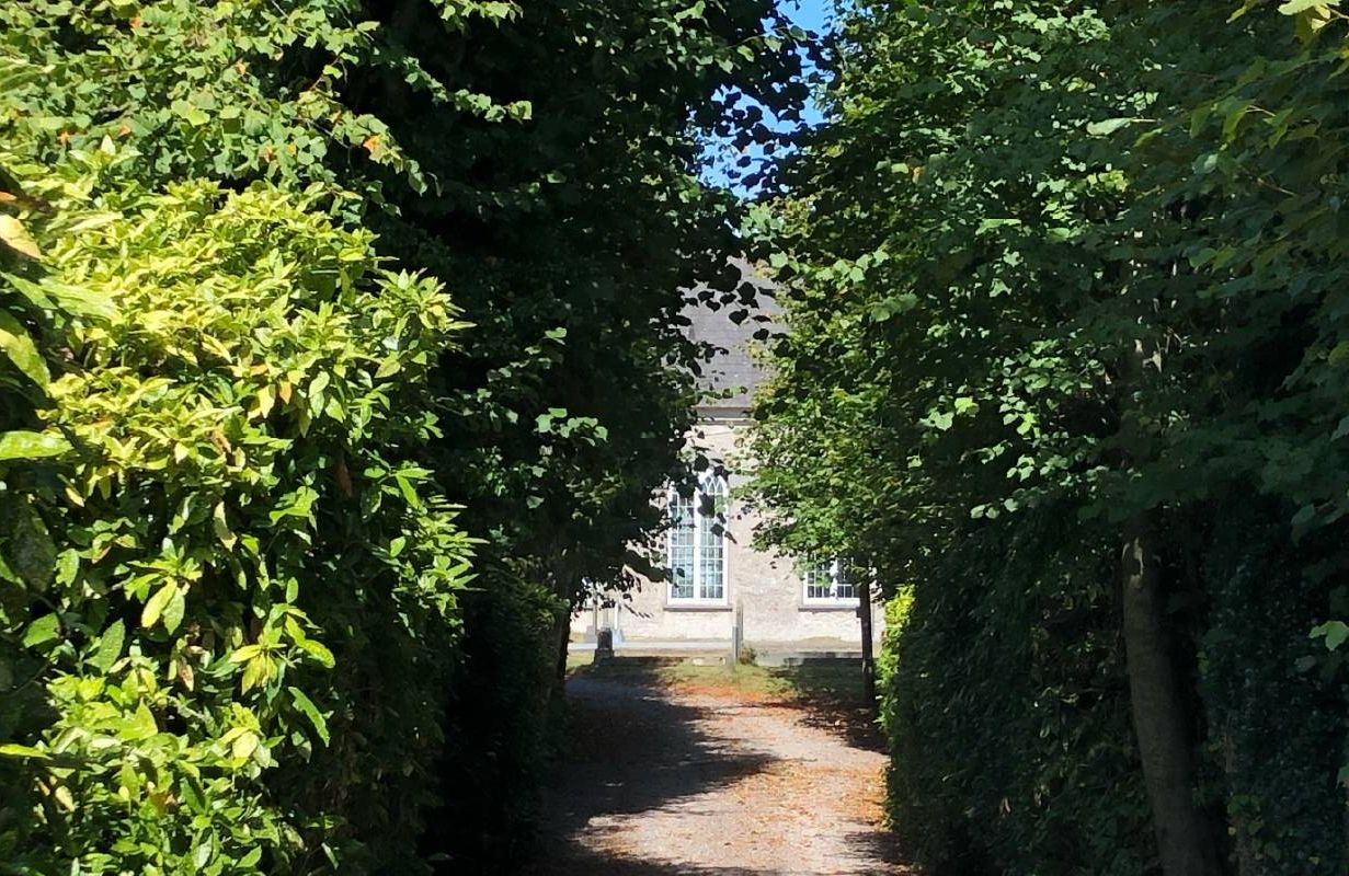 A tree-lined driveway. Next Avenue