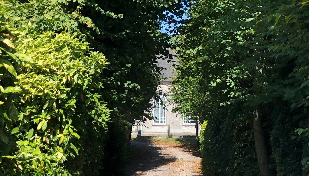A tree-lined driveway. Next Avenue