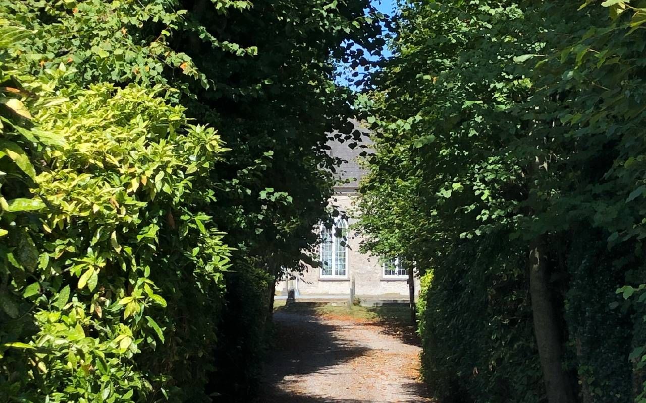 A tree-lined driveway. Next Avenue