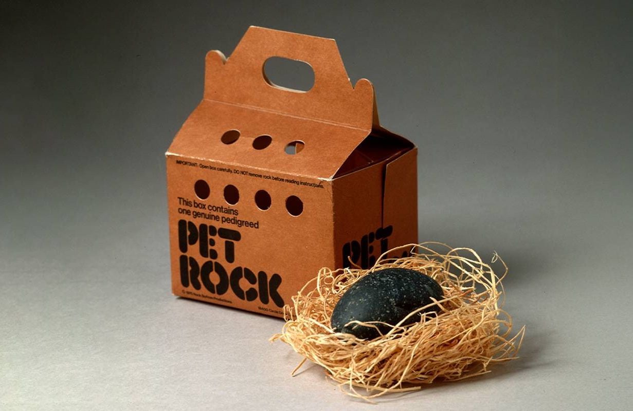 A vintage photo advertisement for the Pet Rock. Next Avenue