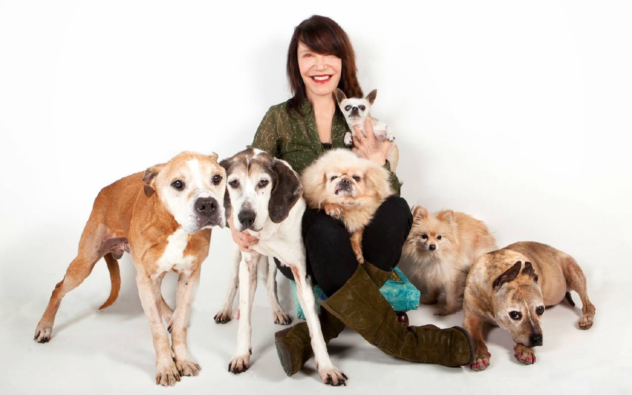 Sherri Franklin with dogs. Next Avenue, saving older dogs