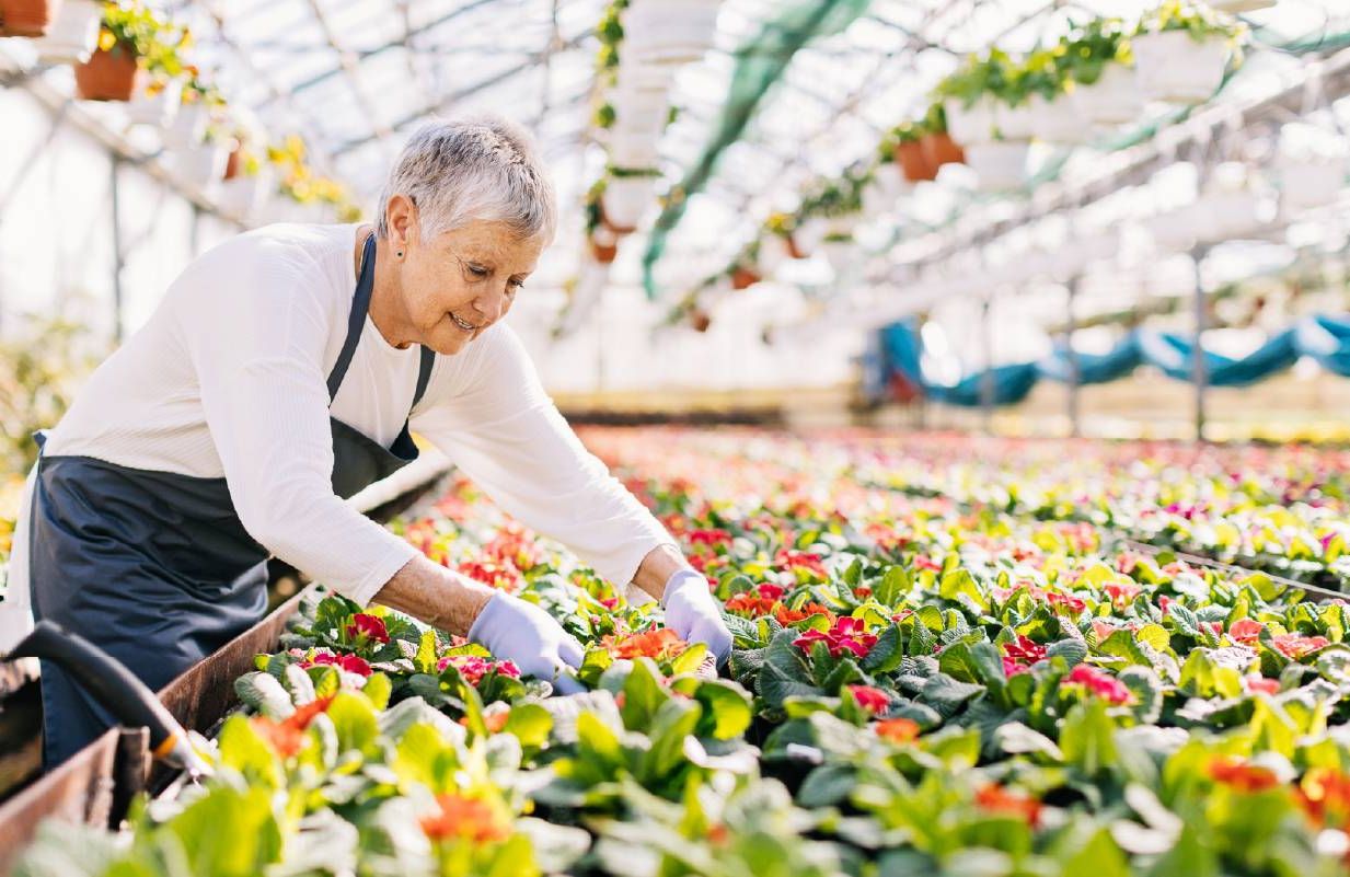 A person working at a garden center. Next Avenue