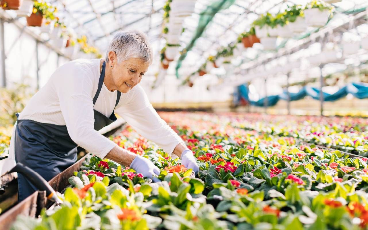 A person working at a garden center. Next Avenue
