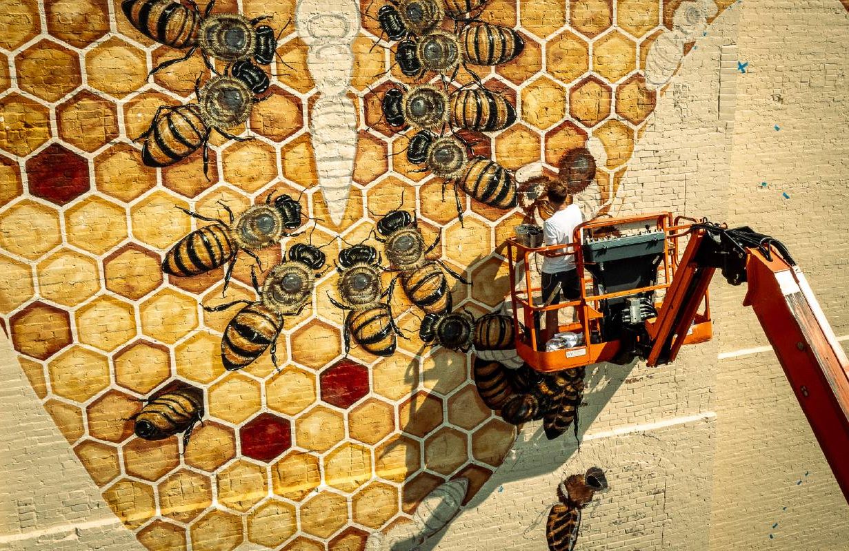 Matt Willey, The Good of the Hive. Next Avenue