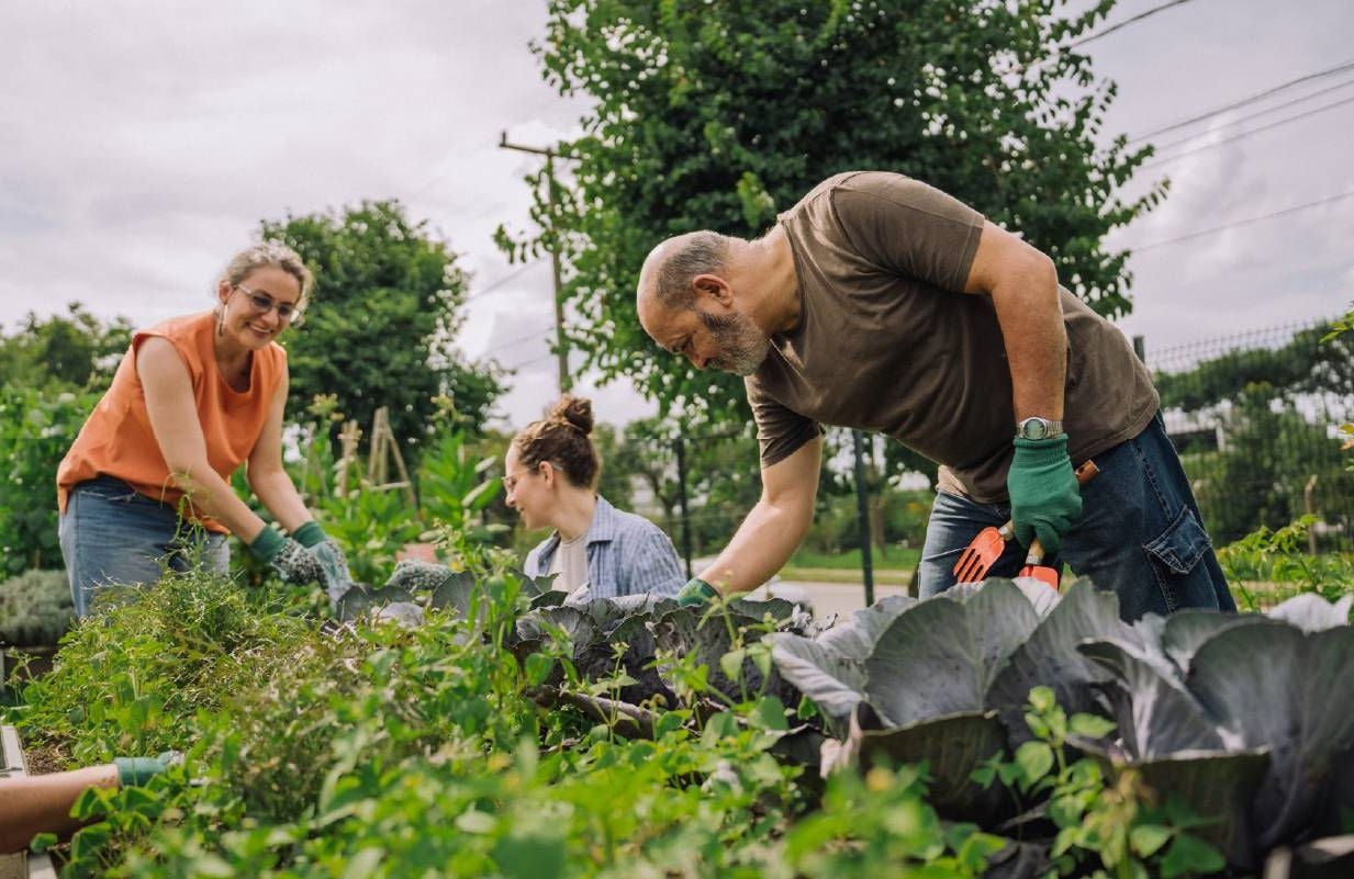 A group of people gardening together. Next Avenue, third place