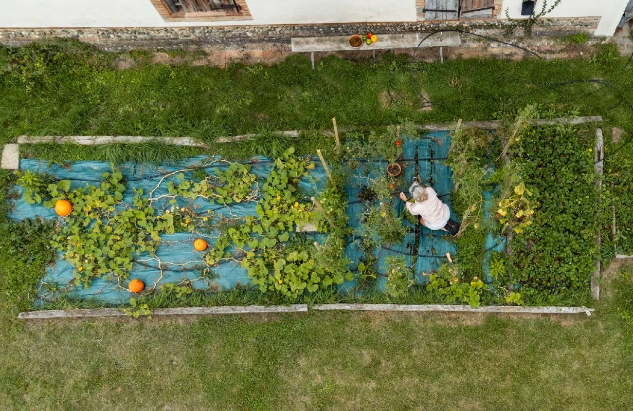 A person in the garding weeding. Next Avenue, therapy, mental health, gardening