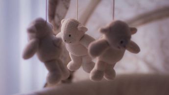 a group of teddy bears sit on a shelf