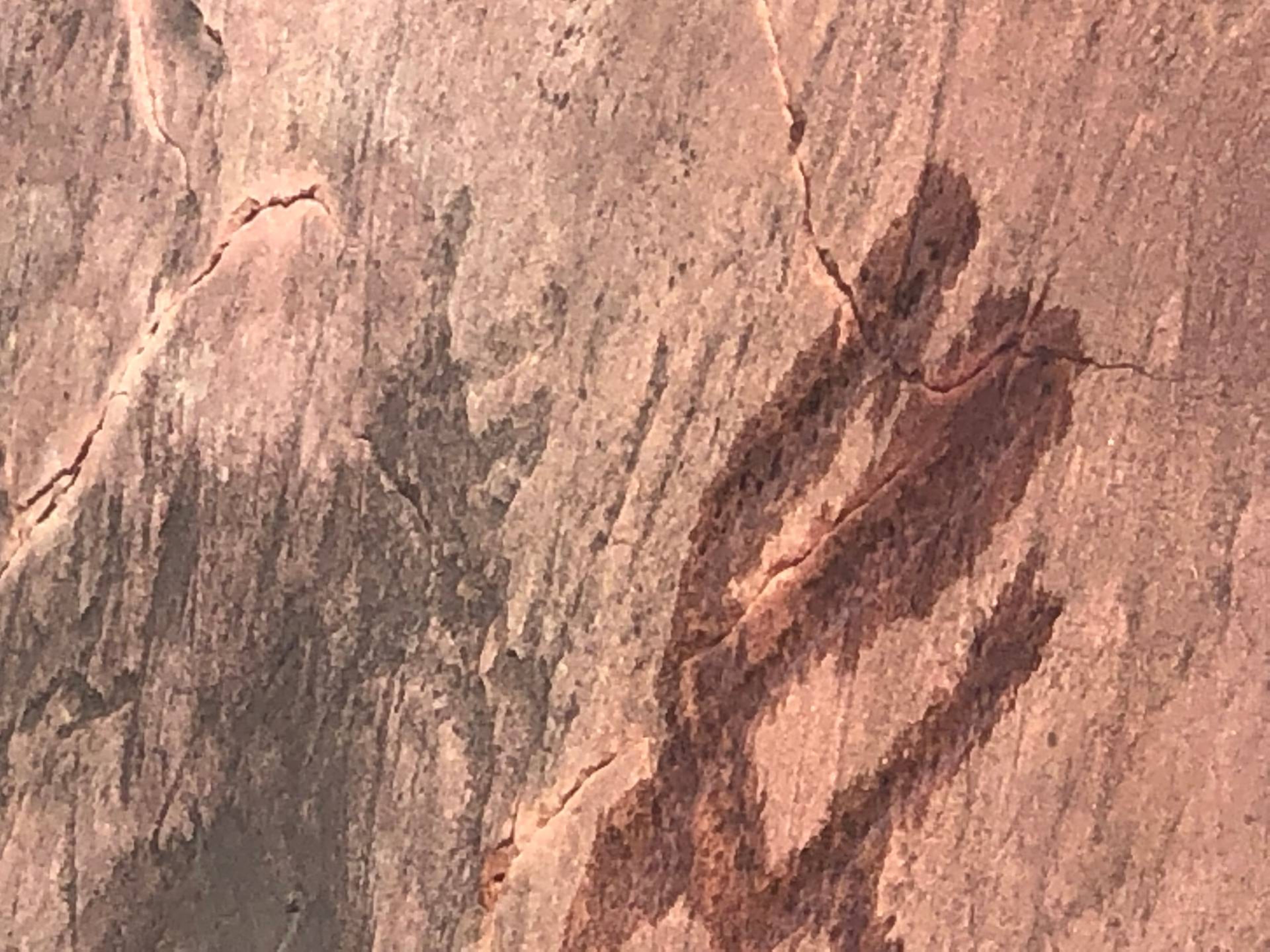 Eagle or thunderbird petroglyph carving