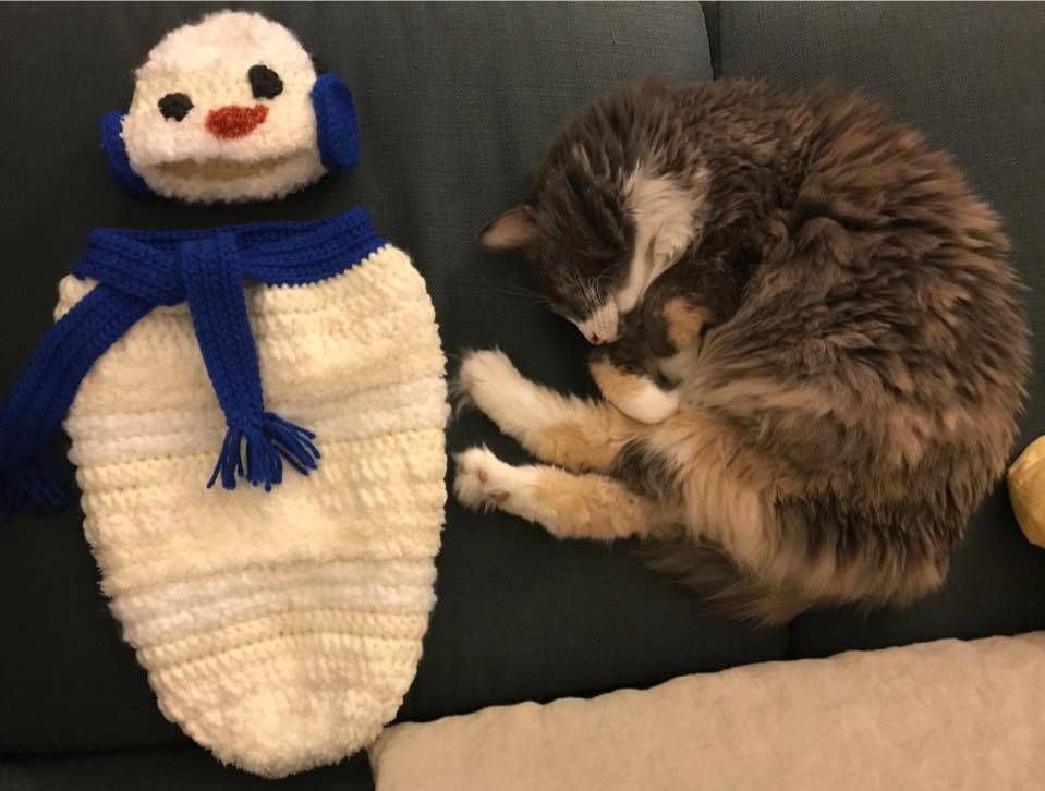 A knitted sleep sack for a new family member (cat for scale)