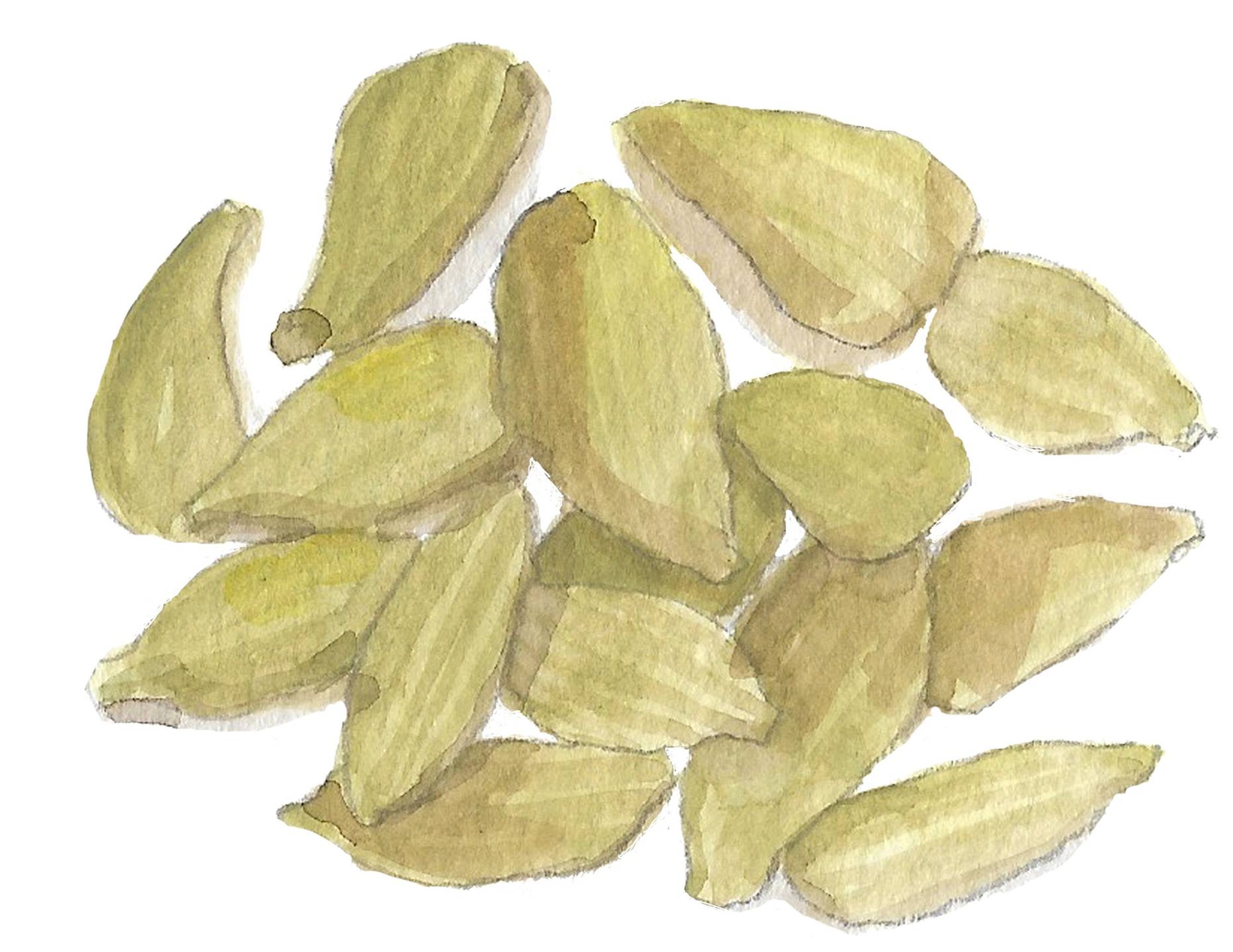 Cardamom