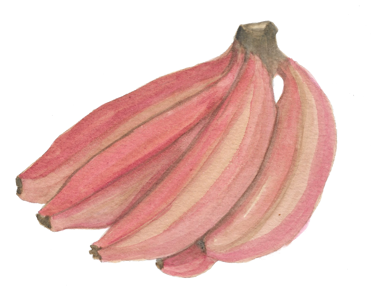 Red bananas copy