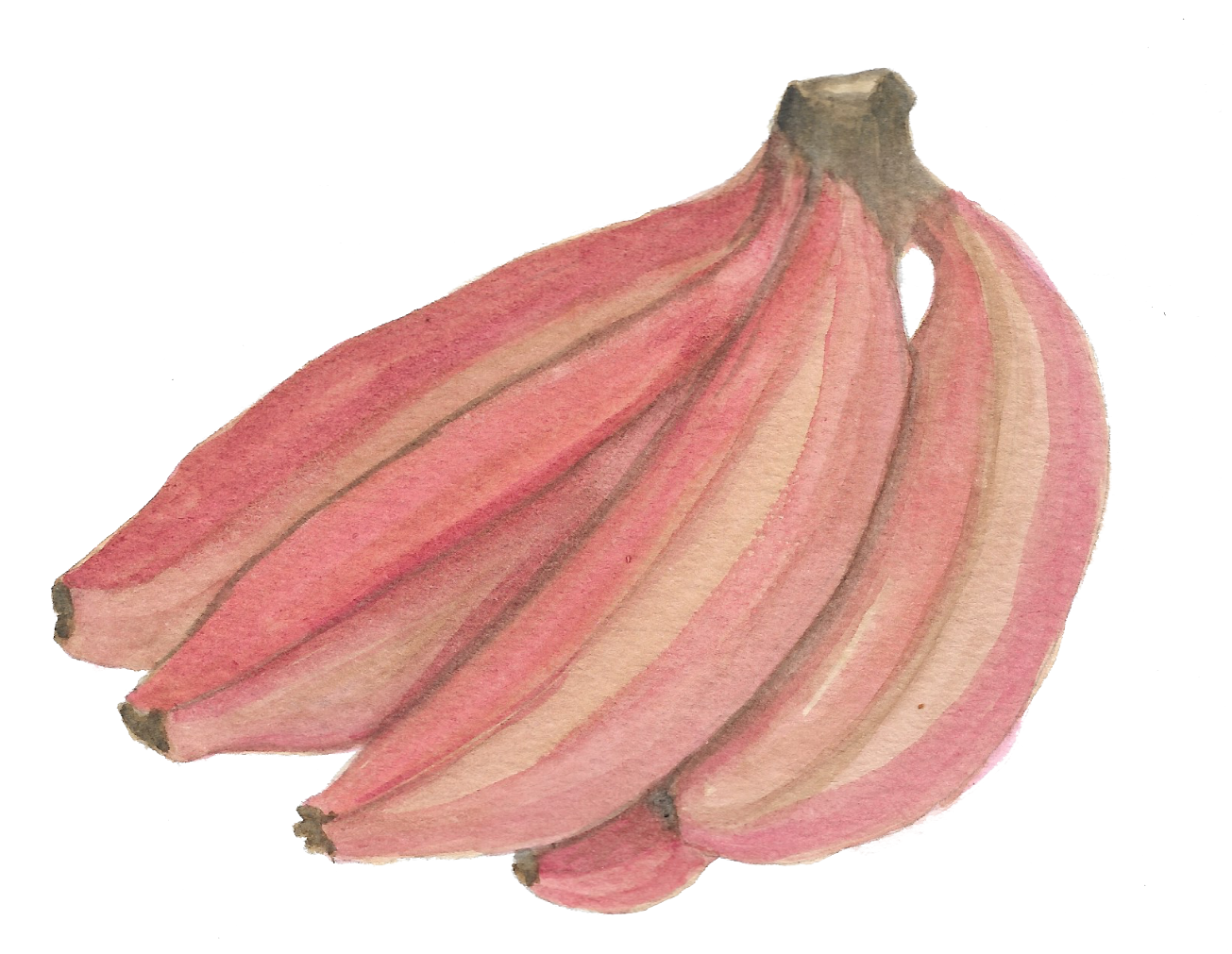 Red bananas copy