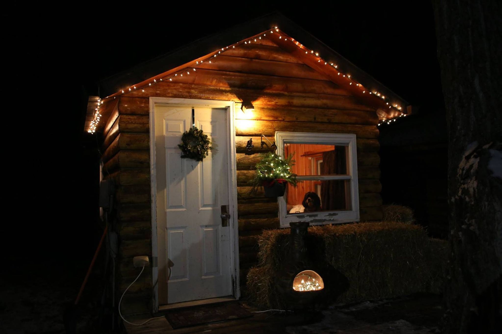 The author's 150-square-foot tiny cabin on Lake Bemidji.