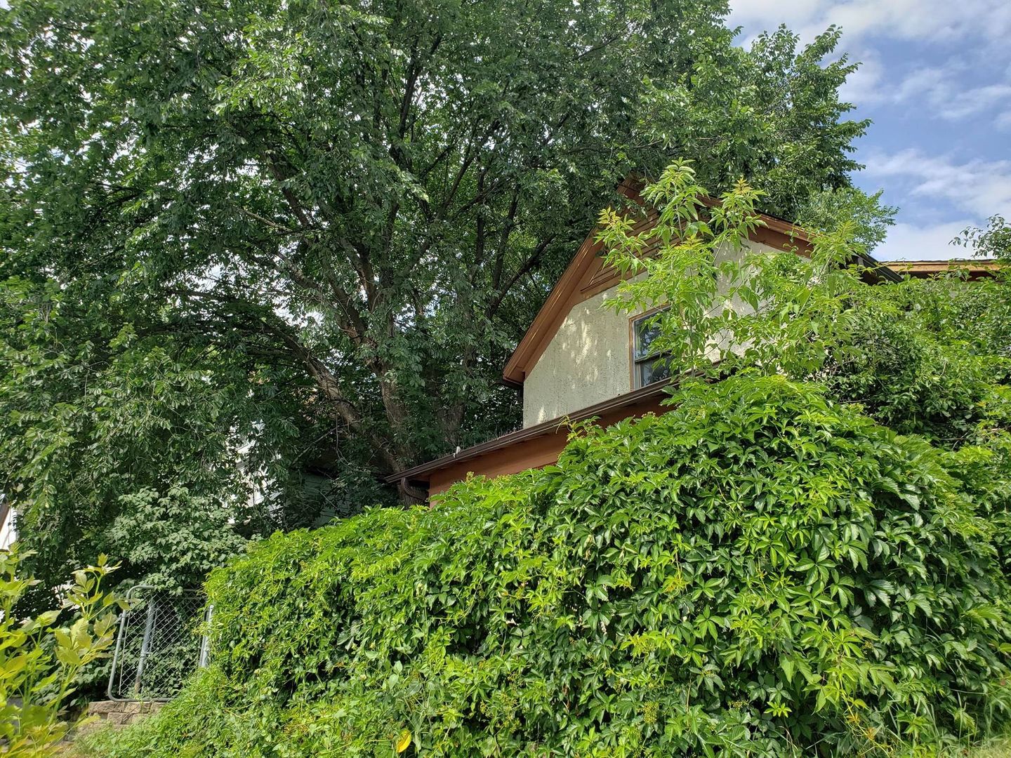 Vacant Property in the Payne-Phalen Neighborhood next to resident Patricia Letourneau