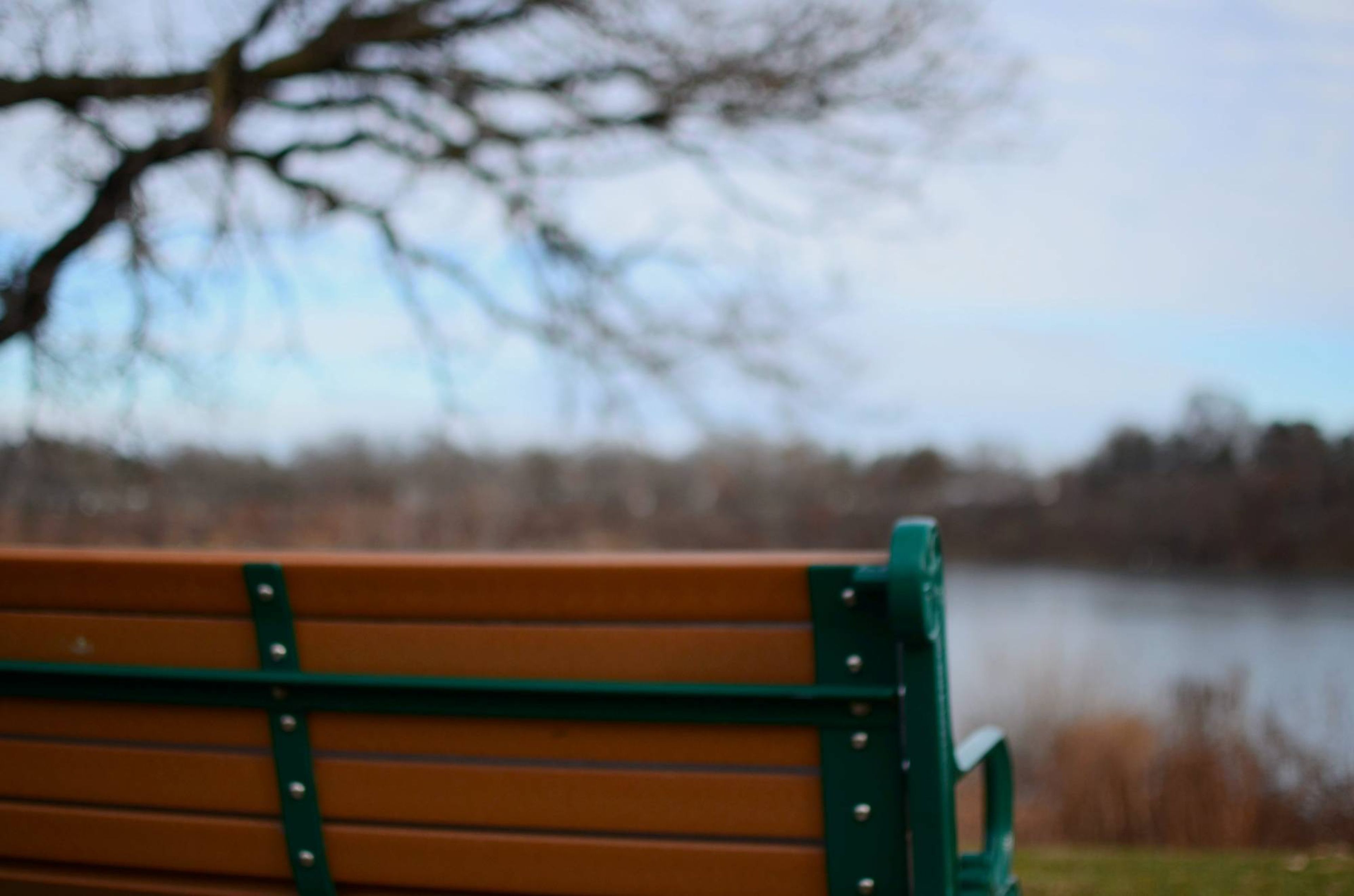 A park bench overlooking Lake Phalen