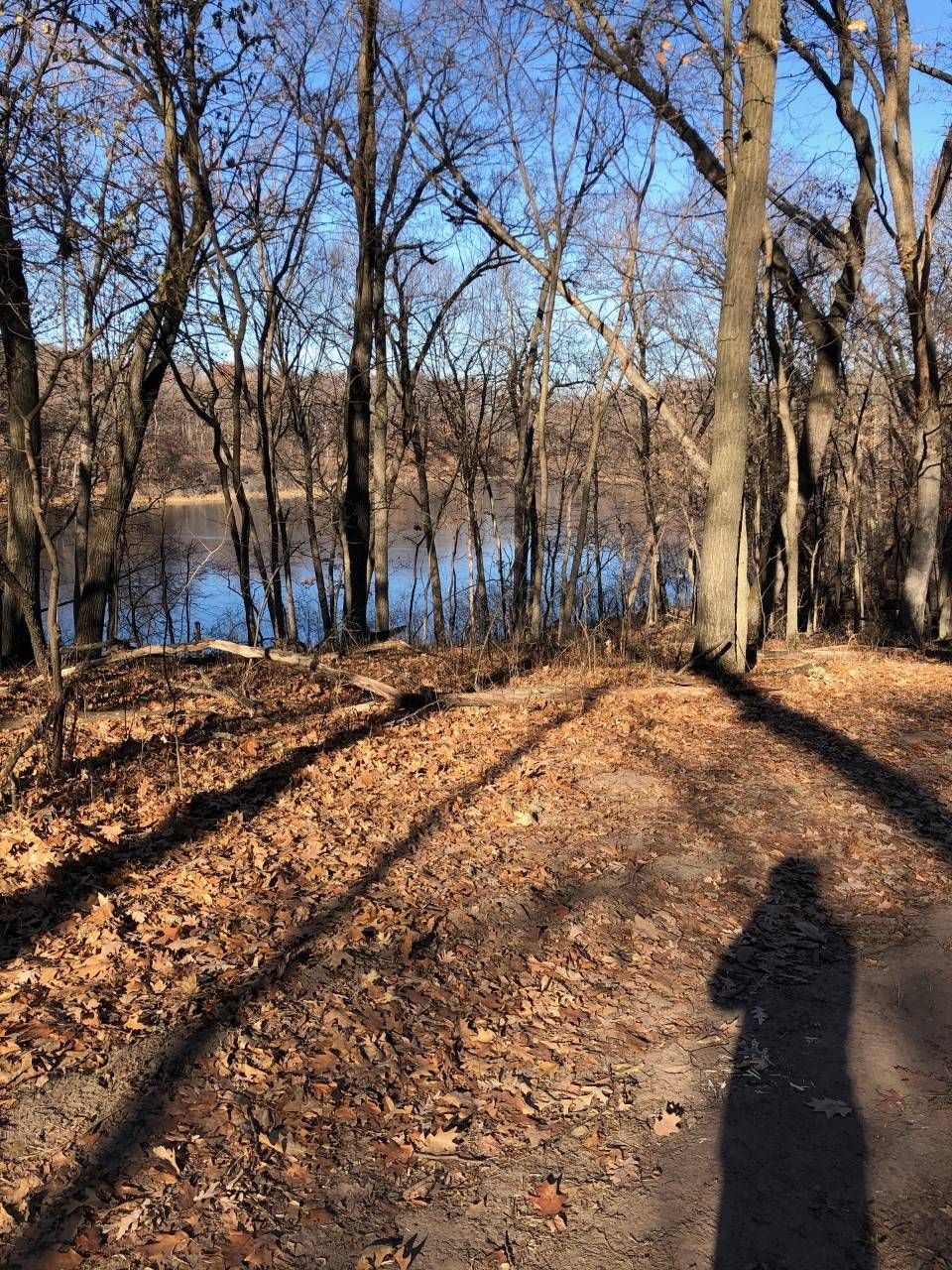 Stopping to take a photo in the woods.