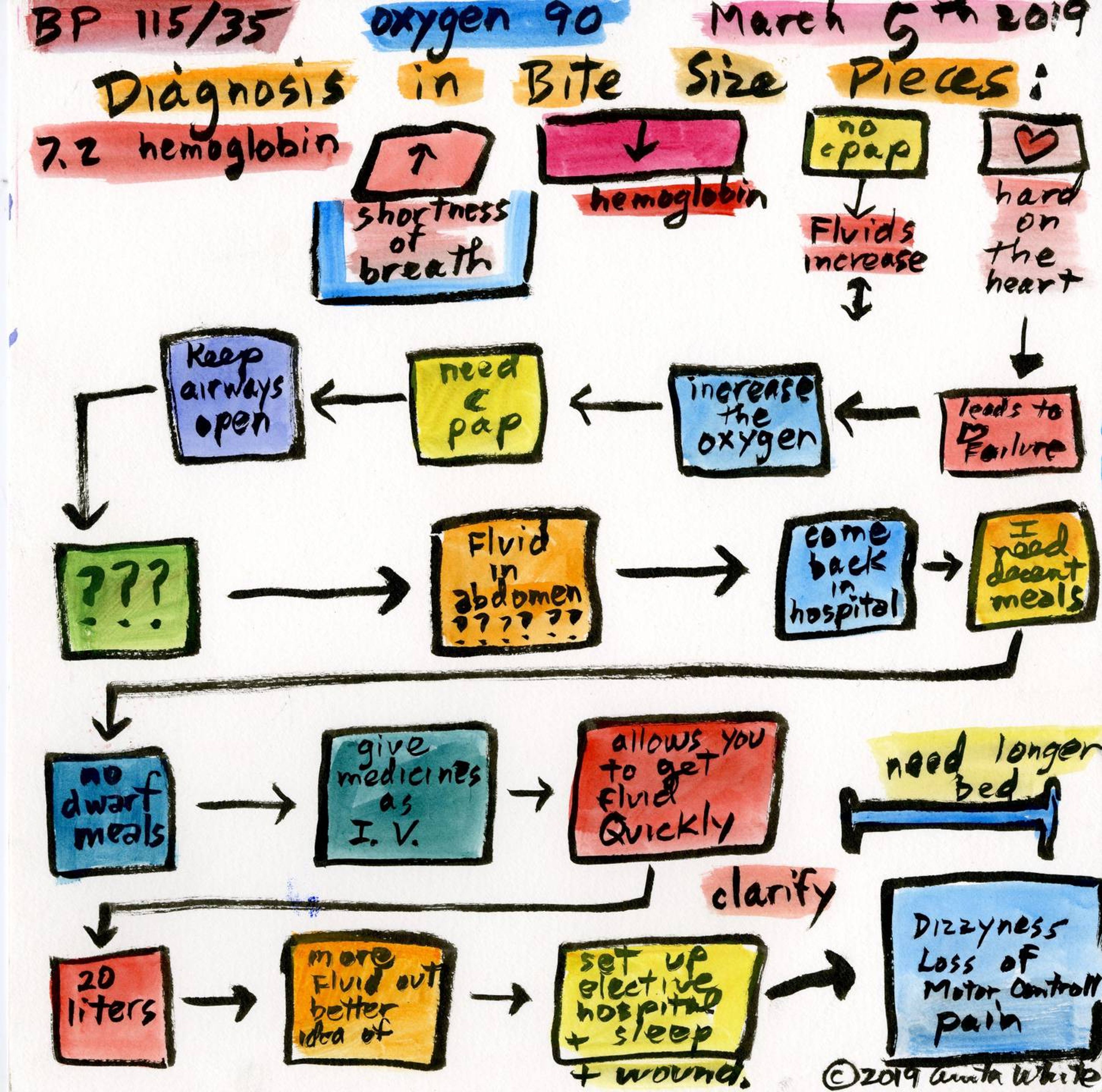 Diagnosis in Bite-Size Pieces, Anita White