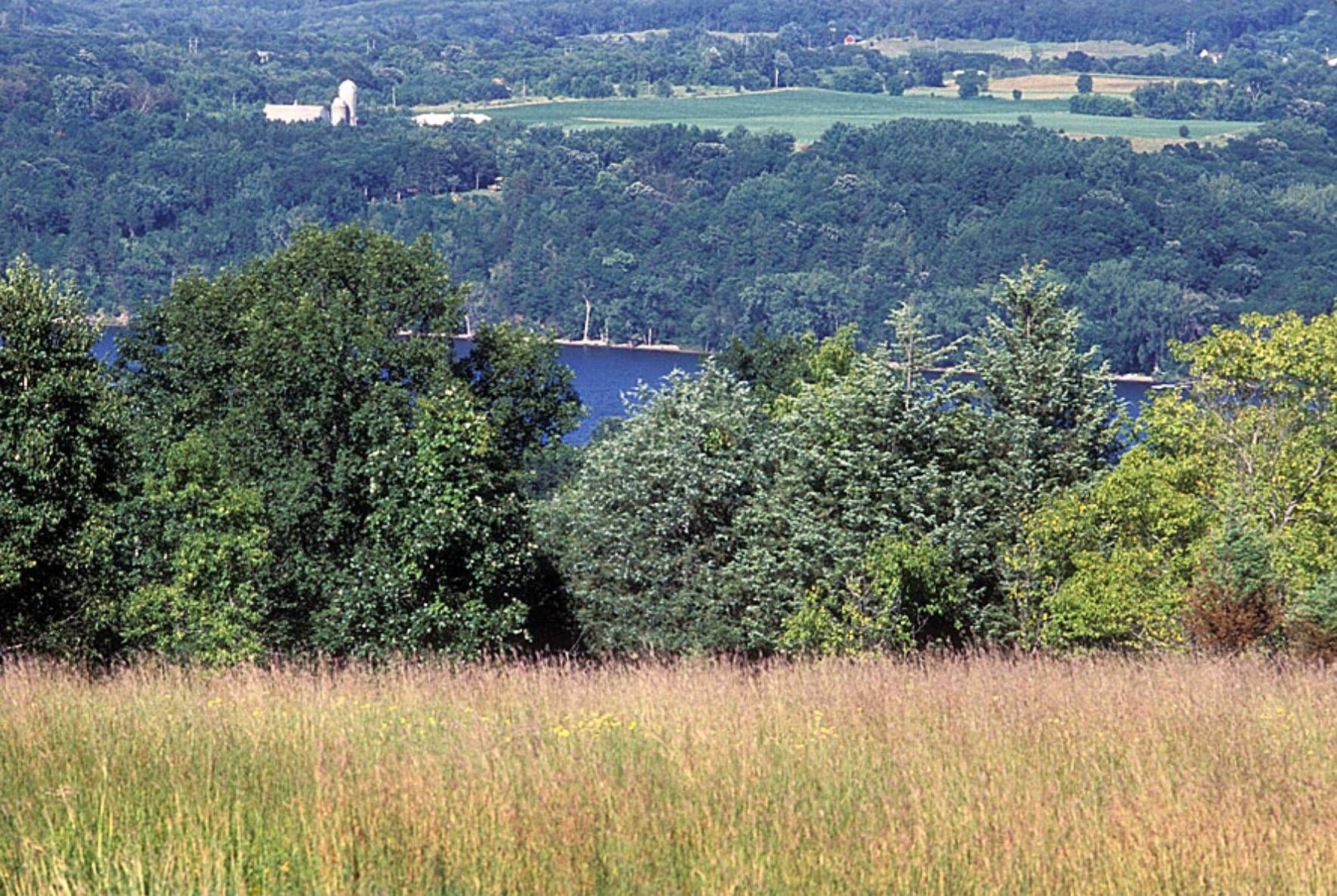 The St. Croix River from Afton State Park. Photo credit: MN DNR