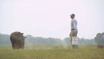 A Dry Spell Threatens Minnesota's Livestock Farmers