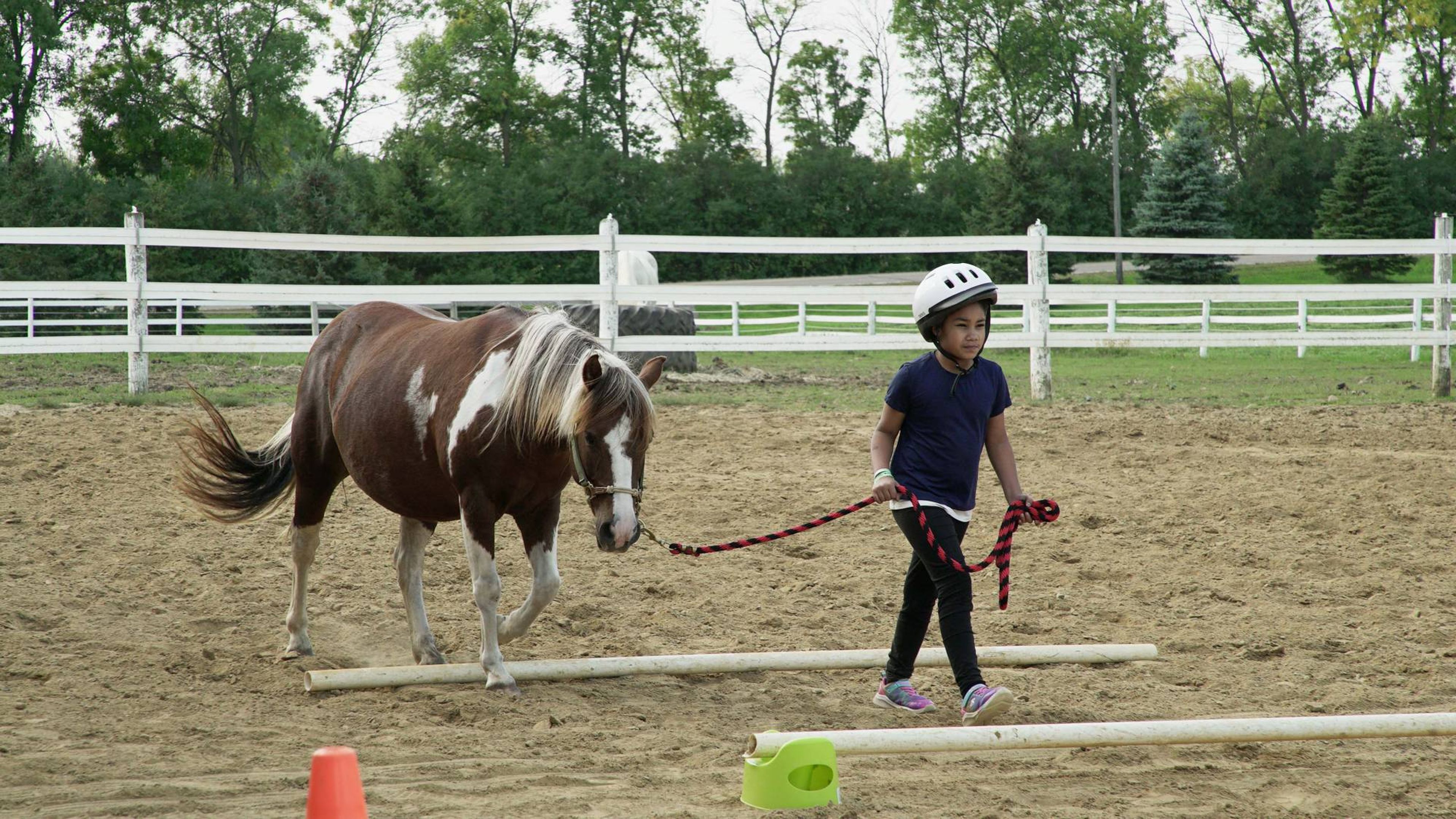 Photo of a young girl leading a pony over ground poles.