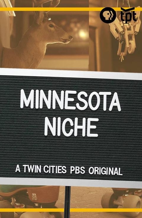 Minnesota Niche poster