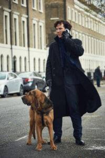 sherlock