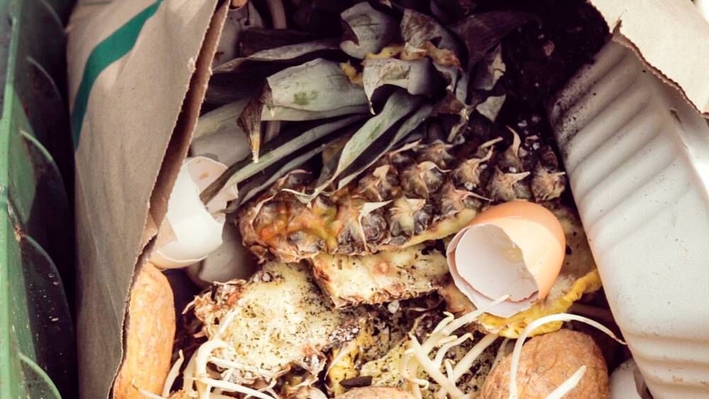 Eggs, pineapple and other organics collected to compost. Rewire PBS Our Future Composting