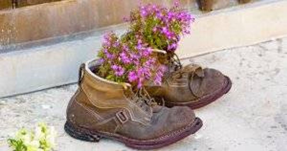 A pair of old used boots up cycled as flower pots. Decorate Sustainably pbs rewire