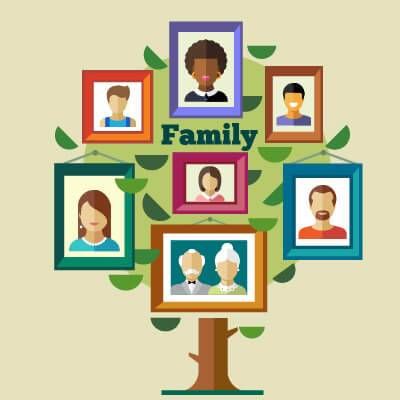 Graphic of a family tree with photos hanging onto branches. Family History pbs rewire
