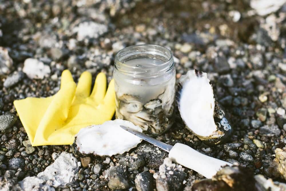 Photo of an oyster shucker's tools: rubber gloves, knife and a jar. Rewire PBS Living Oysters