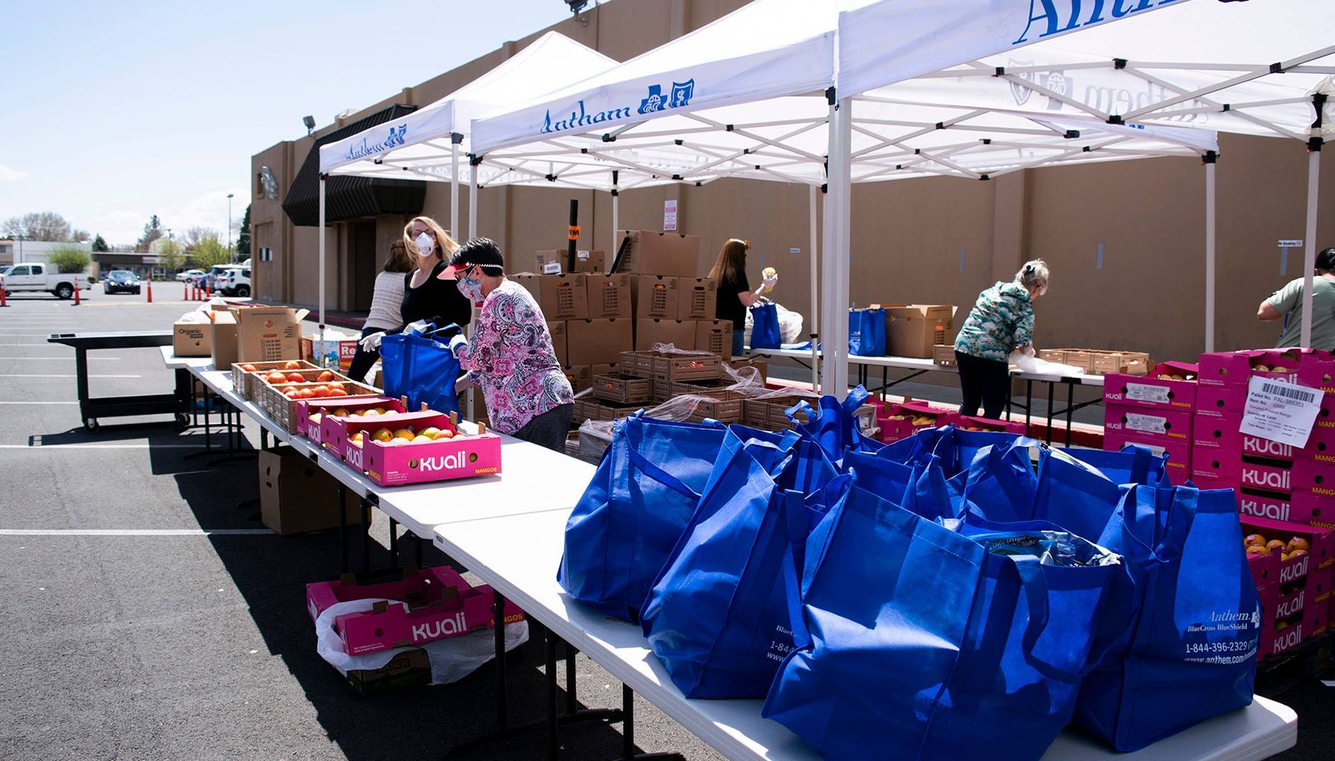 Volunteers stand behind a line of tables and tents with blue totes and boxes of produce. Rewire PBS Our Future Food Banks